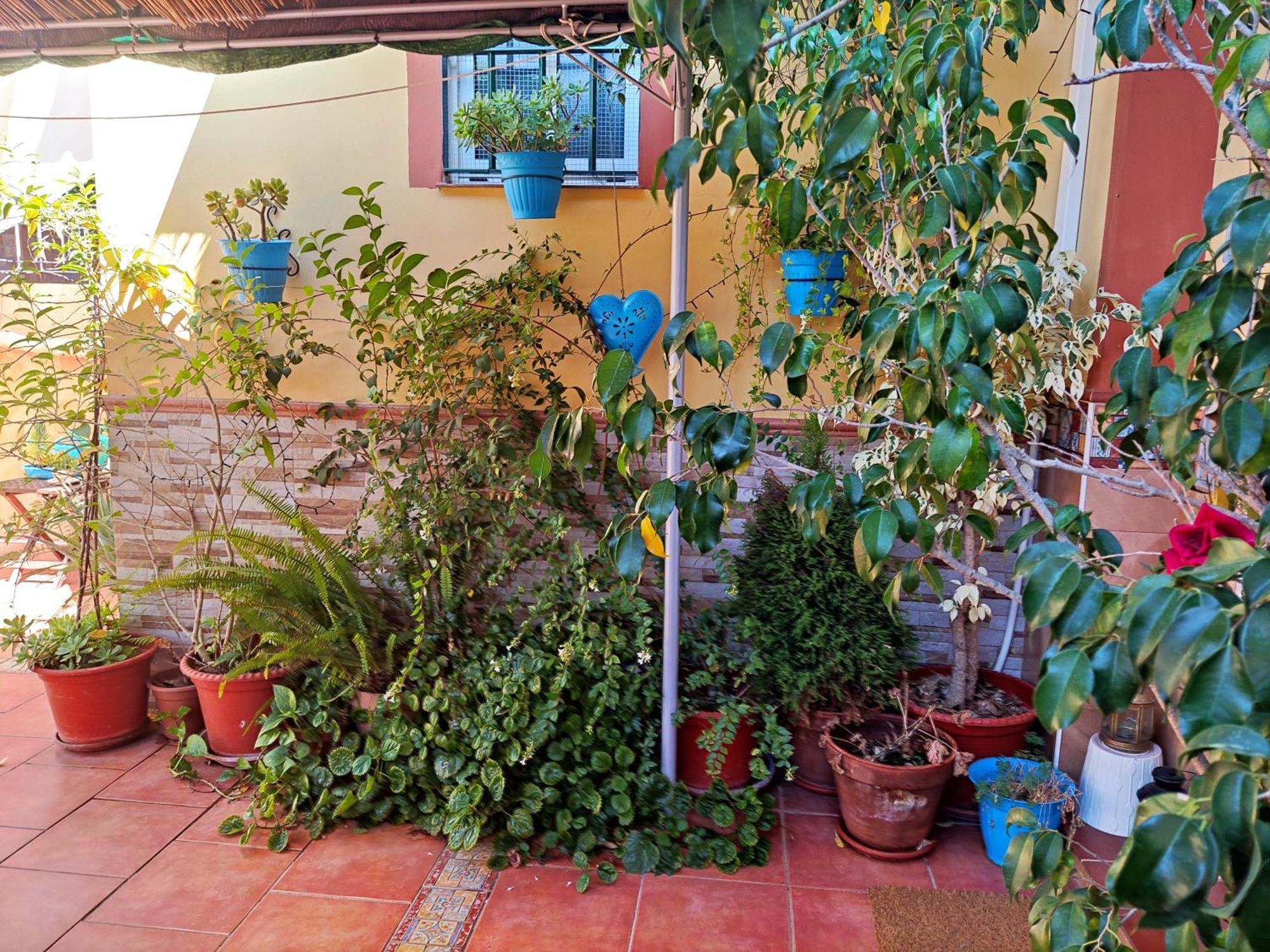 Apartamento Cool Garden مايرينا ديل ألخارفي المظهر الخارجي الصورة