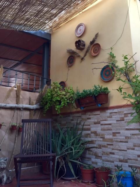 Apartamento Cool Garden مايرينا ديل ألخارفي المظهر الخارجي الصورة