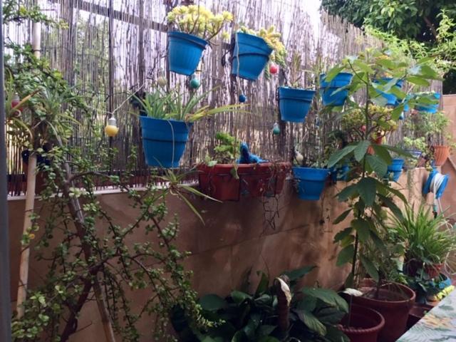 Apartamento Cool Garden مايرينا ديل ألخارفي المظهر الخارجي الصورة