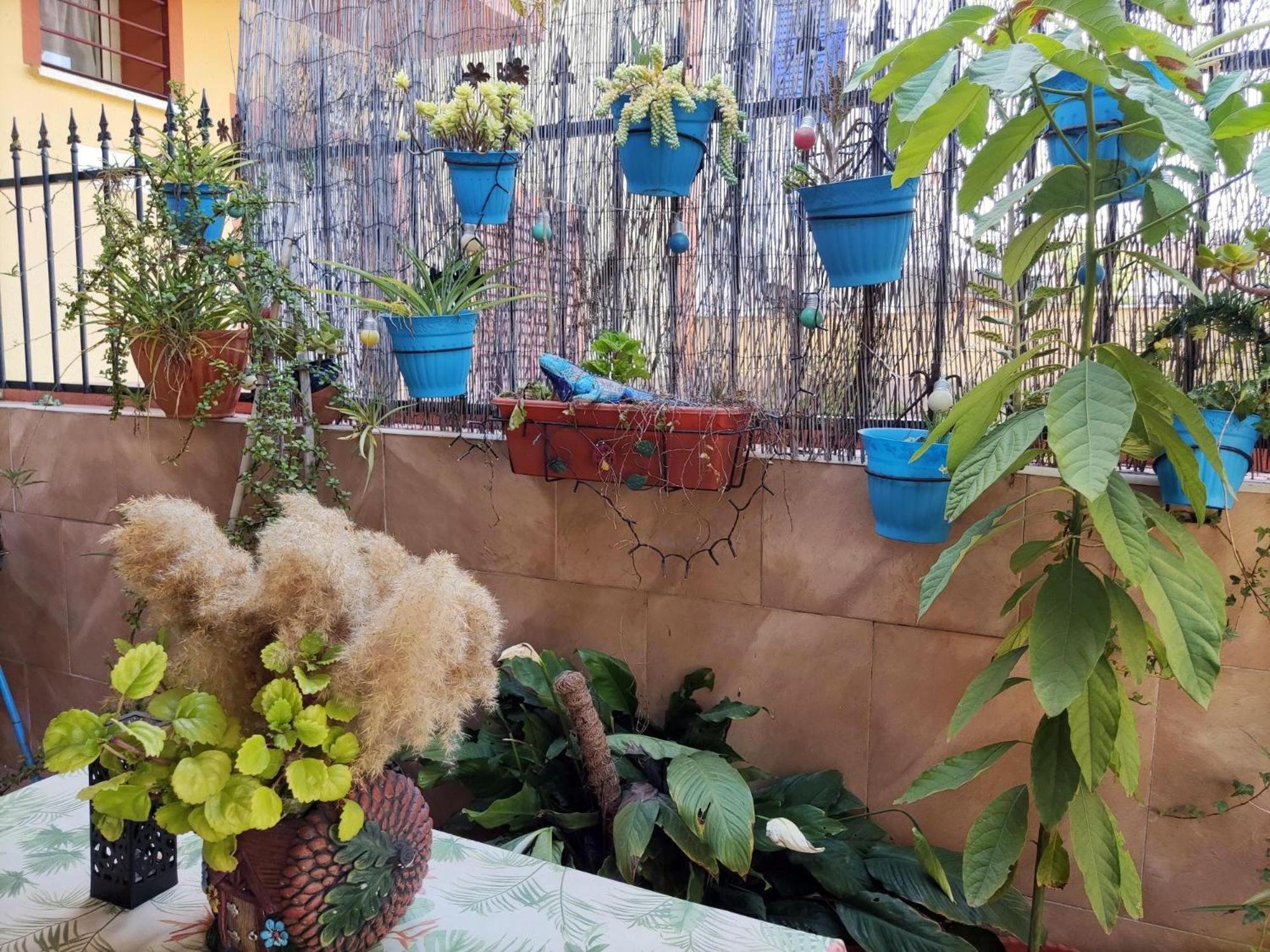 Apartamento Cool Garden مايرينا ديل ألخارفي المظهر الخارجي الصورة