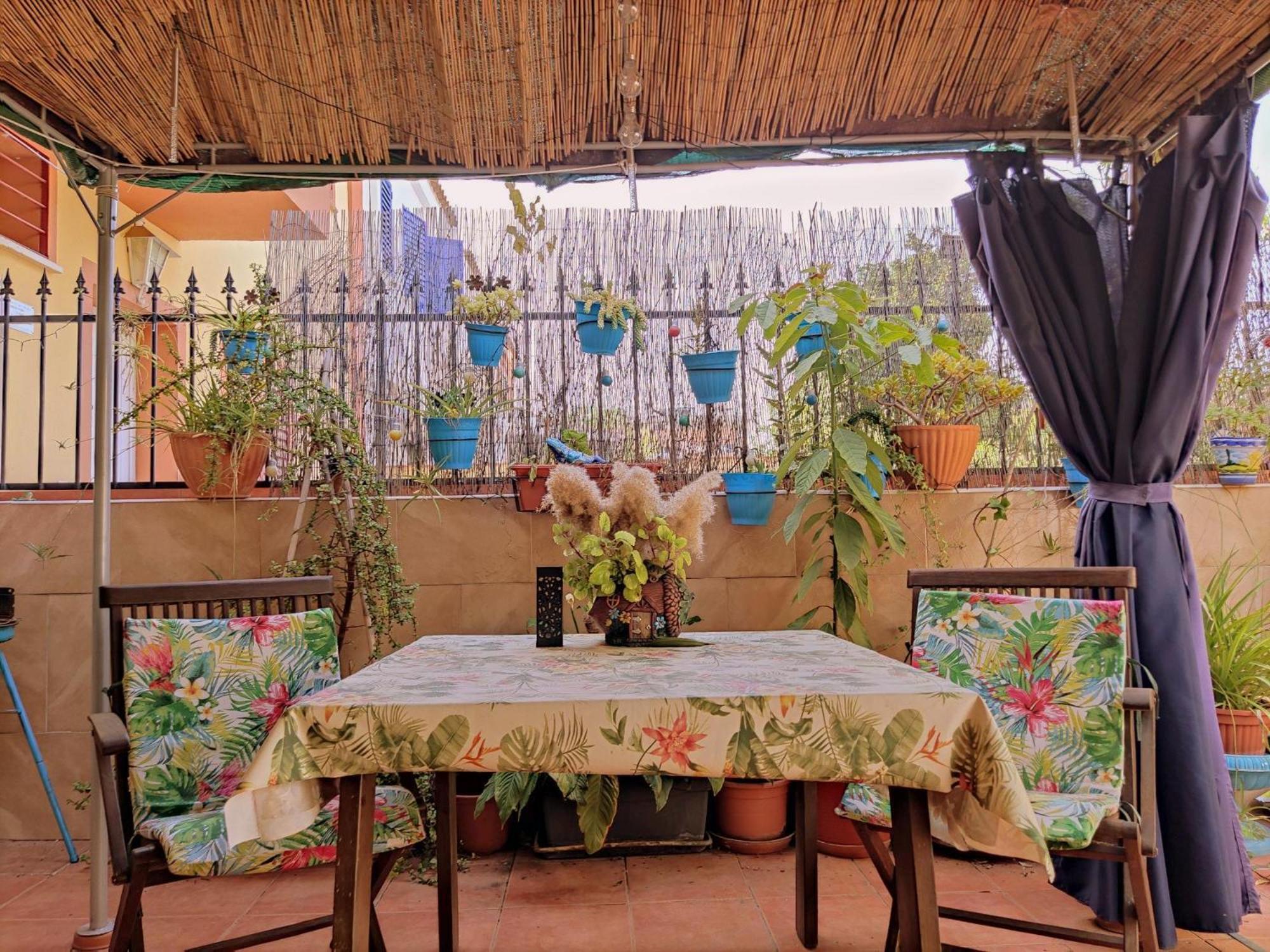 Apartamento Cool Garden مايرينا ديل ألخارفي المظهر الخارجي الصورة